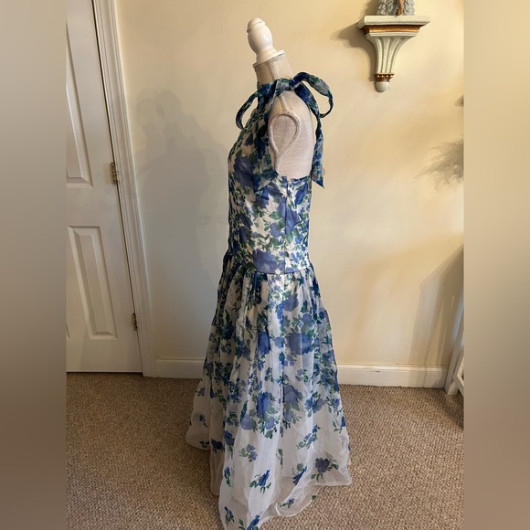 Anthropologie BHLDN Kendall High-Neck Scarf Floral Organza Maxi Dress size S - Picture 14 of 16